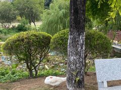 -厦门悦华酒店