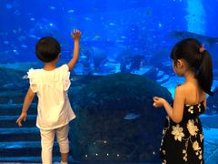 -亚特兰蒂斯•OSSIANO奥西亚诺海底餐厅
