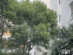 -苏州香山国际大酒店