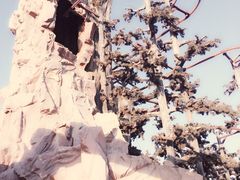 石景山游乐园-北京石景山游乐园