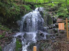 -本溪汤沟绿石谷森林公园