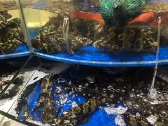 -海景壹号大酒店(滨湖店)