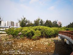 -宝安西湾红树林湿地公园