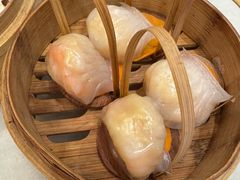 -金鼎轩(方庄天坛店)
