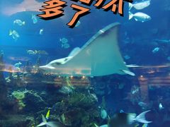 -北京海洋馆