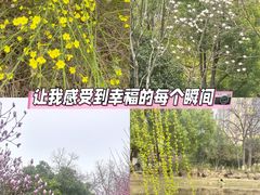 -堤角公园