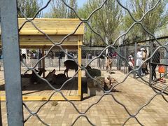 -长白岛森林公园