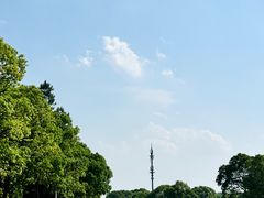 -艾溪湖湿地公园