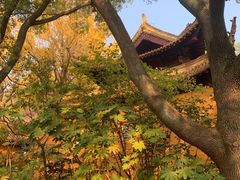 -狼山风景名胜区