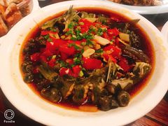 -四季春