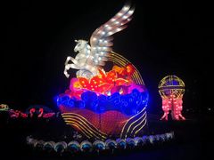 -映月湖公园