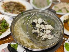 鲈鳗-金砂阿洲鱼册店