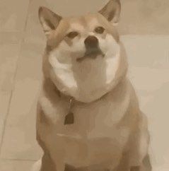 -上海新江南大酒店-中餐厅