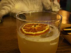-故遥酒馆.赛事直播
