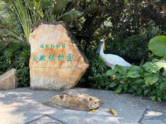-深圳湾公园(南山区)