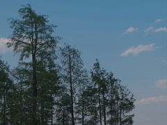 -阳光便利店(环海西路店)