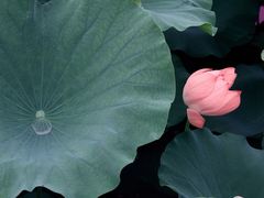 -玄武湖景区-情侣园游乐场