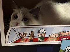 -天使宠物医院·犬猫分诊(彩虹店)