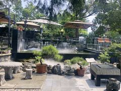 -蘇河湾·新鲁菜·泰山宴(泰山店)