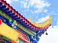-东莞市大岭山森林公园