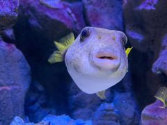 -成都浩海立方海洋公园