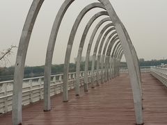 -大兴滨河森林公园