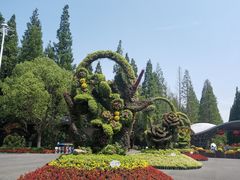 -东平国家森林公园