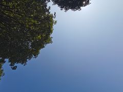 -重庆中央公园(渝北区)