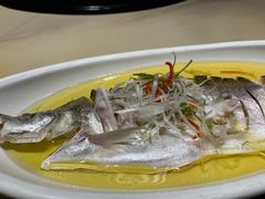 -老绍兴养和饭店(向阳不夜城店)