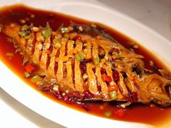 -日丰园海肠水饺·老字号大连海鲜(和平广场店)