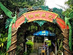 -瑞丽独树成林风景区