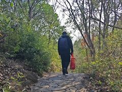 -白马涧龙池景区