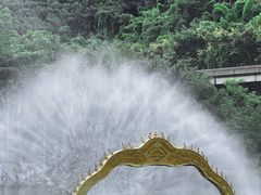 -西双版纳原始森林公园