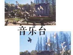 -音乐台