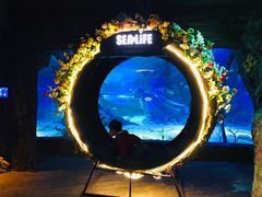 -沈阳海洋探索中心