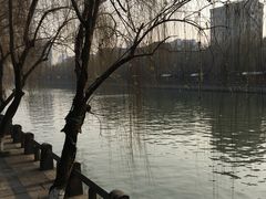 -运河游船(武林门码头)