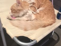 -簋街