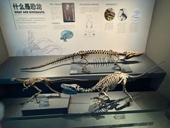 -自贡恐龙博物馆