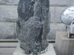 -中国地质博物馆