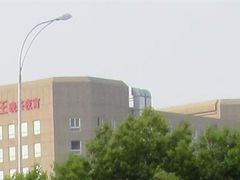 75-楚灶王(徐东店)