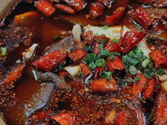 -青城甲(青城山店)