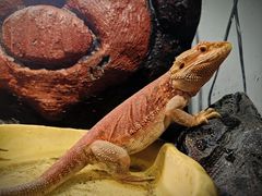 -长沙友阿奥特莱斯