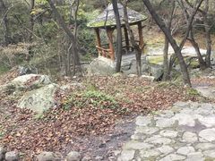 -少华山国家森林公园