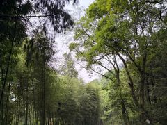 -黄公望隐居地