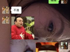 -江味龙虾馆·裸蓝龙虾(南山店)