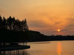 -上海月湖雕塑公园