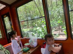 -合肥滨湖国家森林公园