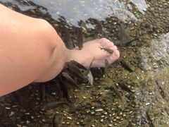 -融汇温泉