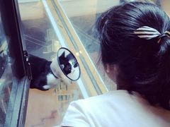 -猫的天空之城概念书店(杭州南宋御街店)