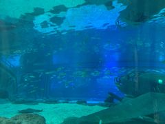 -福州罗源湾海洋世界旅游区